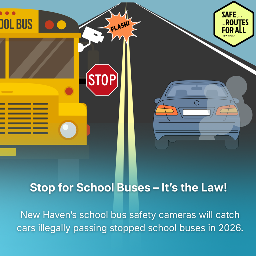 Squares for Bus Campaign