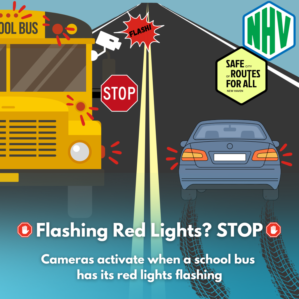 Squares for Bus Campaign (9)