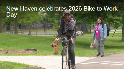 Man riding on bike in a park.